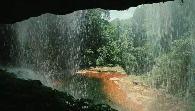 白化摇篮曲